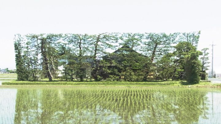日本各地の家守文化を辿る～島根県出雲の築地松～